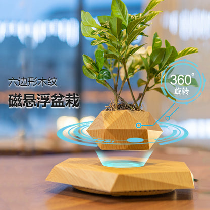 Schwebende Blumentopf Bonsai